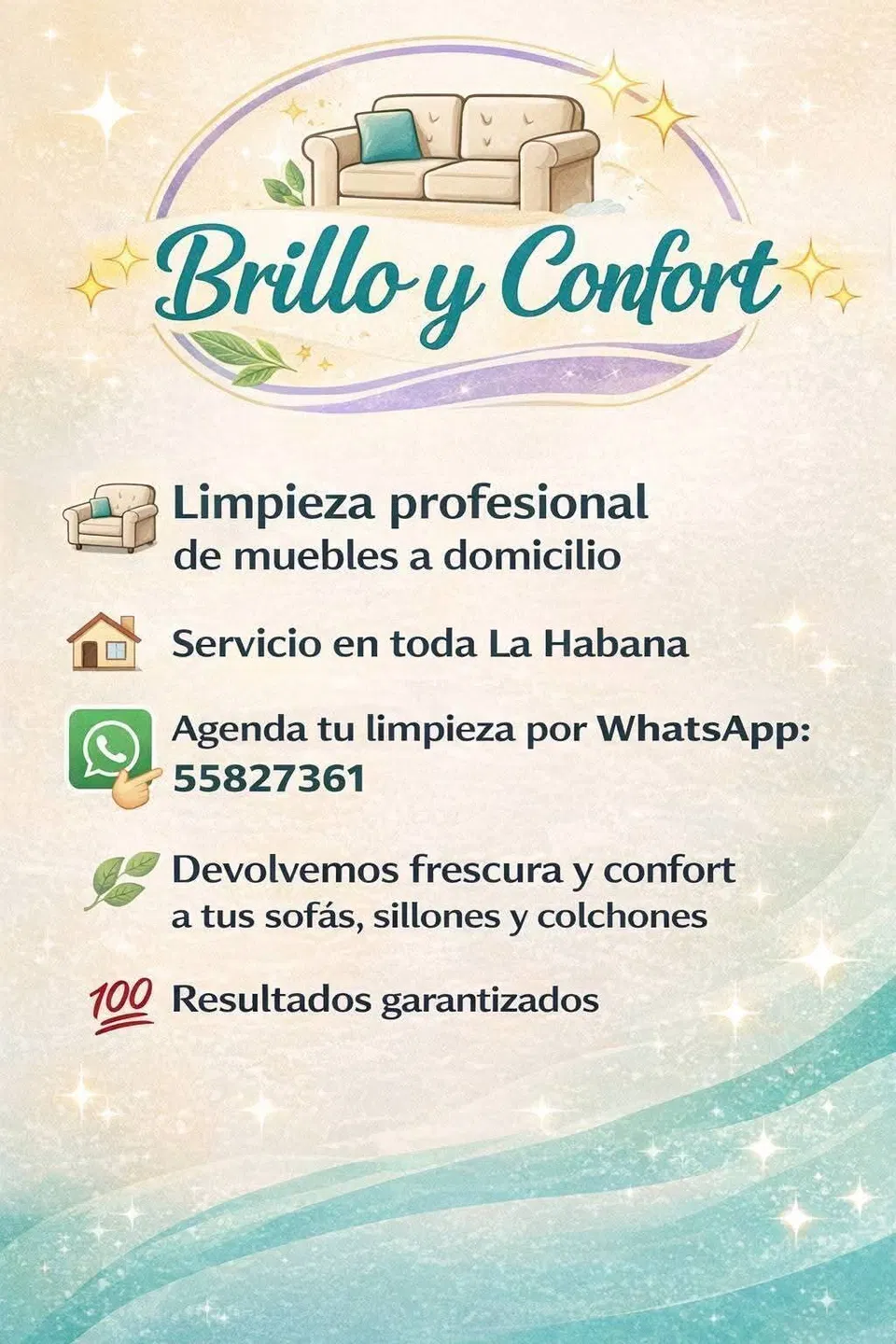 Portada de Limpieza profesional de muebles, autos, alfombras y más