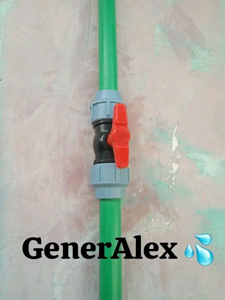 Trabajo 7