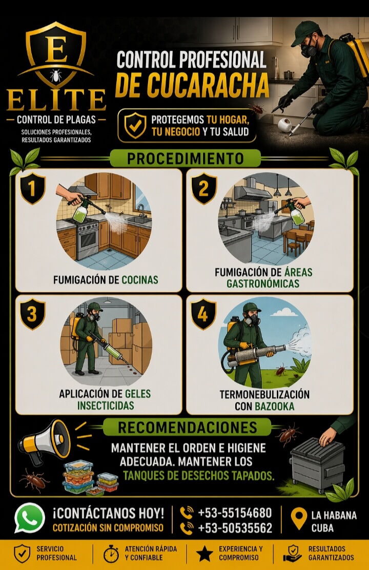 Trabajo 6
