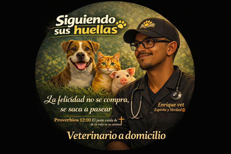 Portada de Vacuna Pentavalente a domicilio en La Habana
