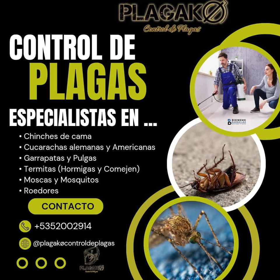 Trabajo 3