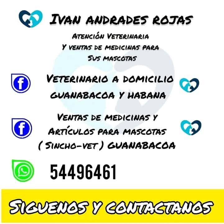 Portada de Veterinario a domicilio en Guanabacoa y La Habana