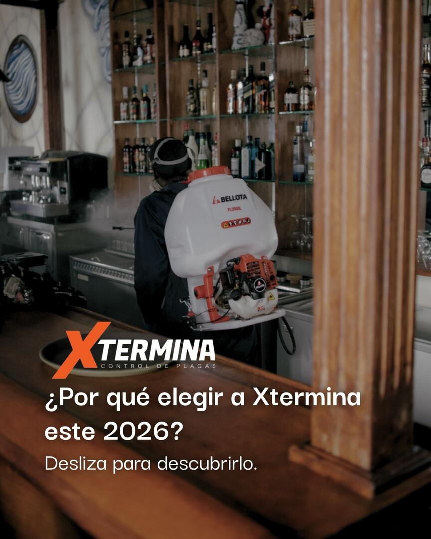 Trabajo 5