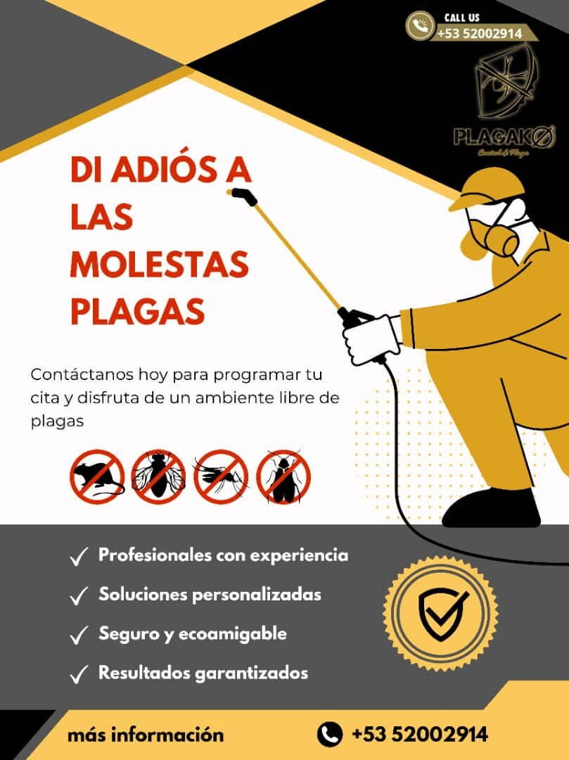 Trabajo 5