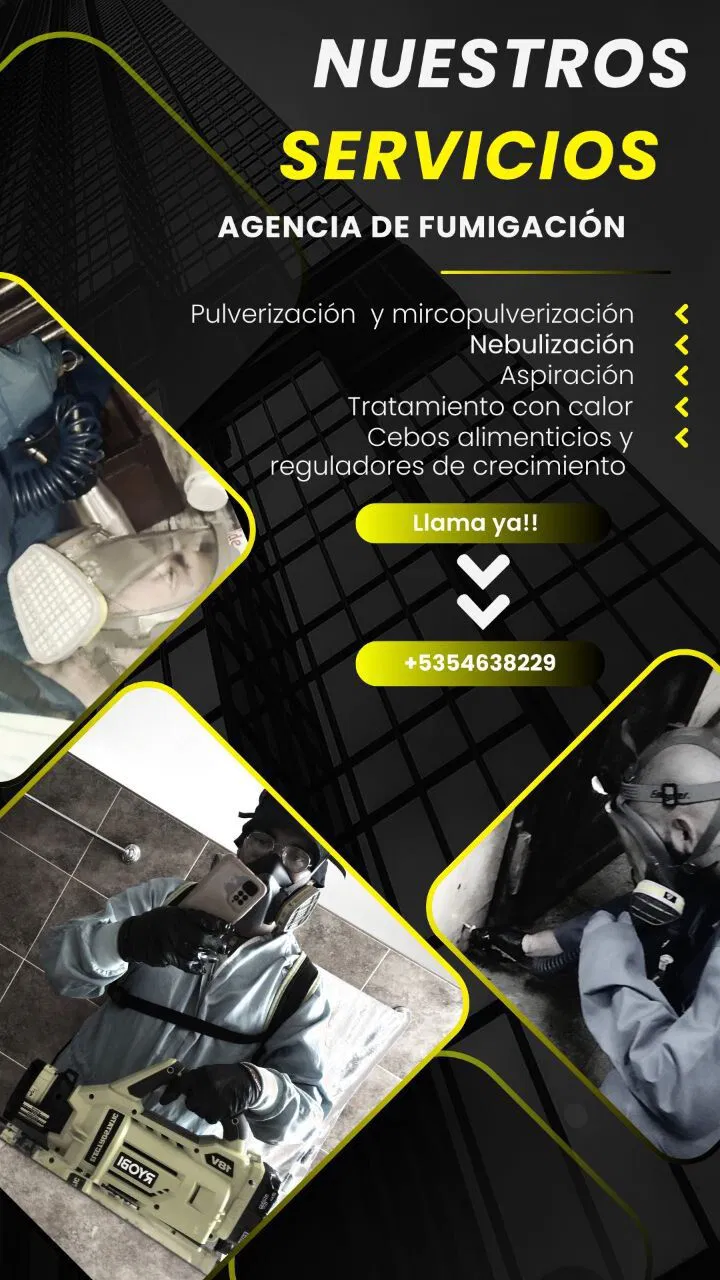 Trabajo 4