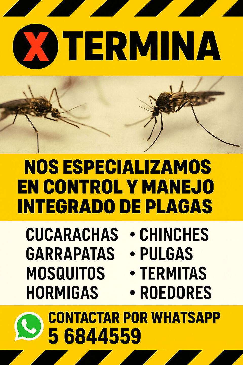 Portada de Fumigación profesional para hogares y negocios