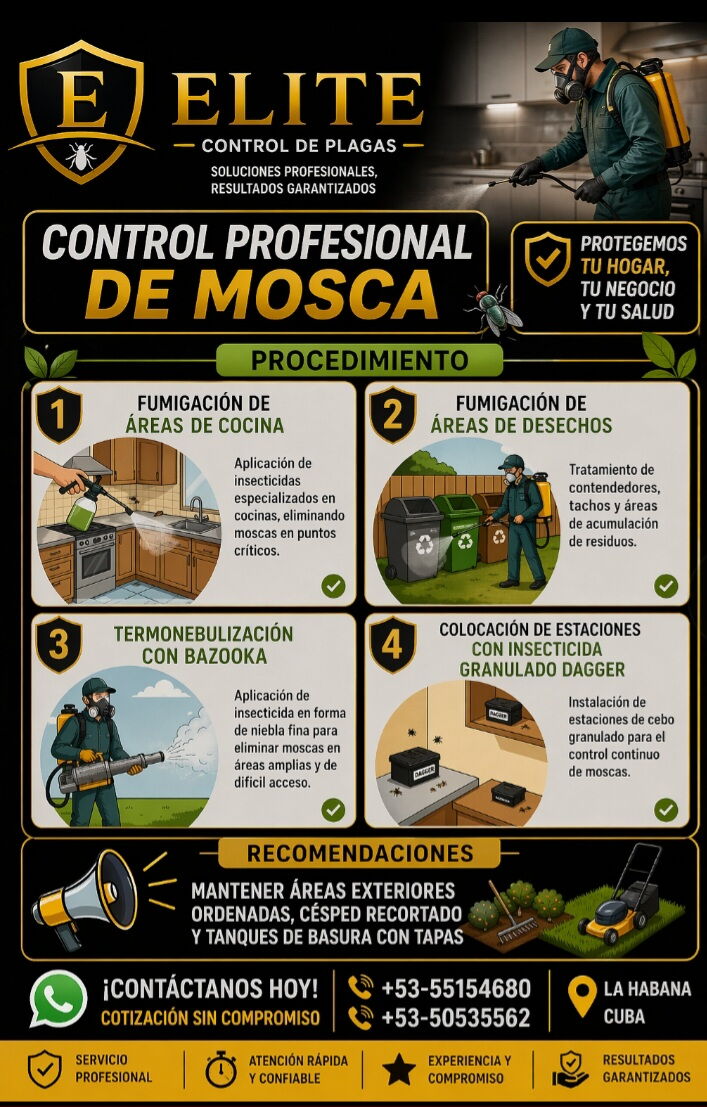 Trabajo 4