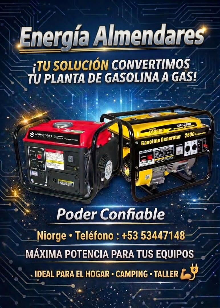 Portada de Adaptación a gas de la calle para plantas eléctricas