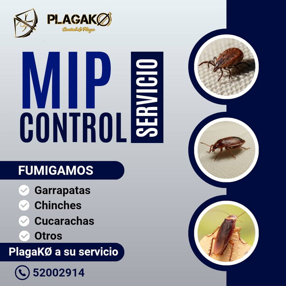Portada de Fumigación y Control de Plagas para tu negocio