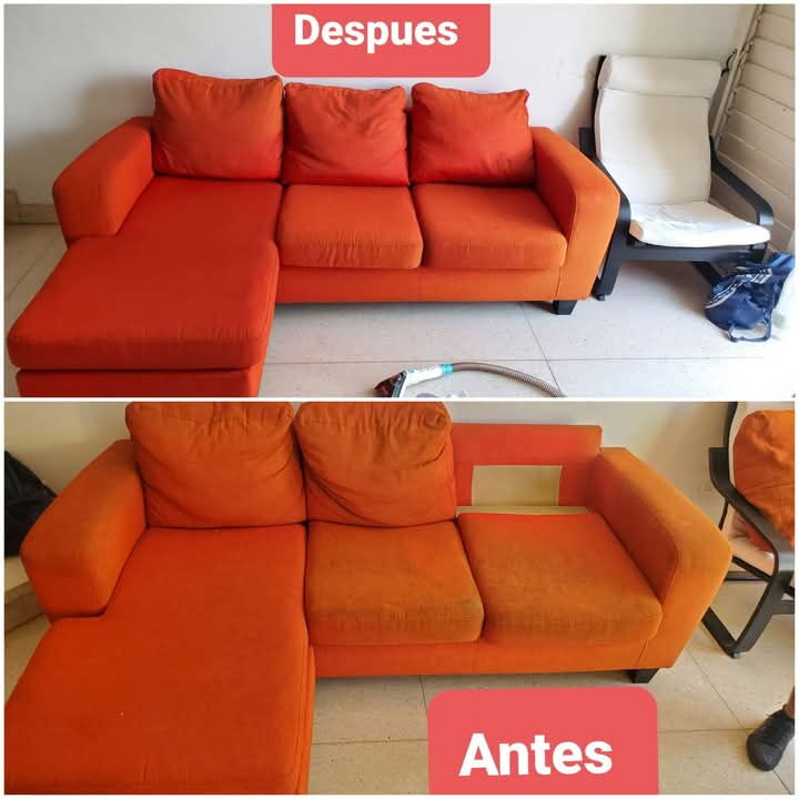Portada de Limpieza de muebles, tapicerías, alfombras y colchones