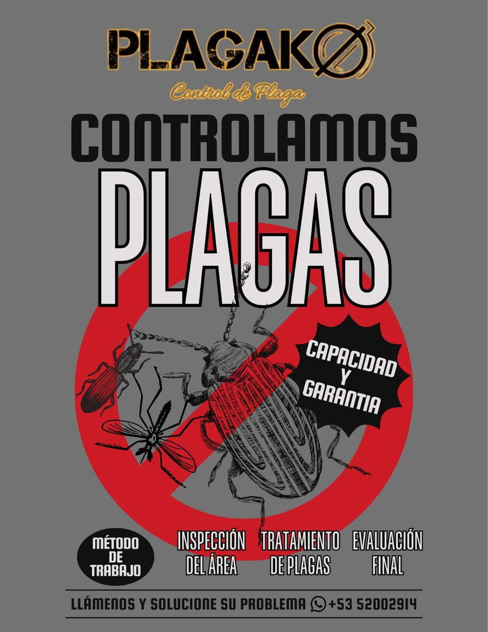 Trabajo 7