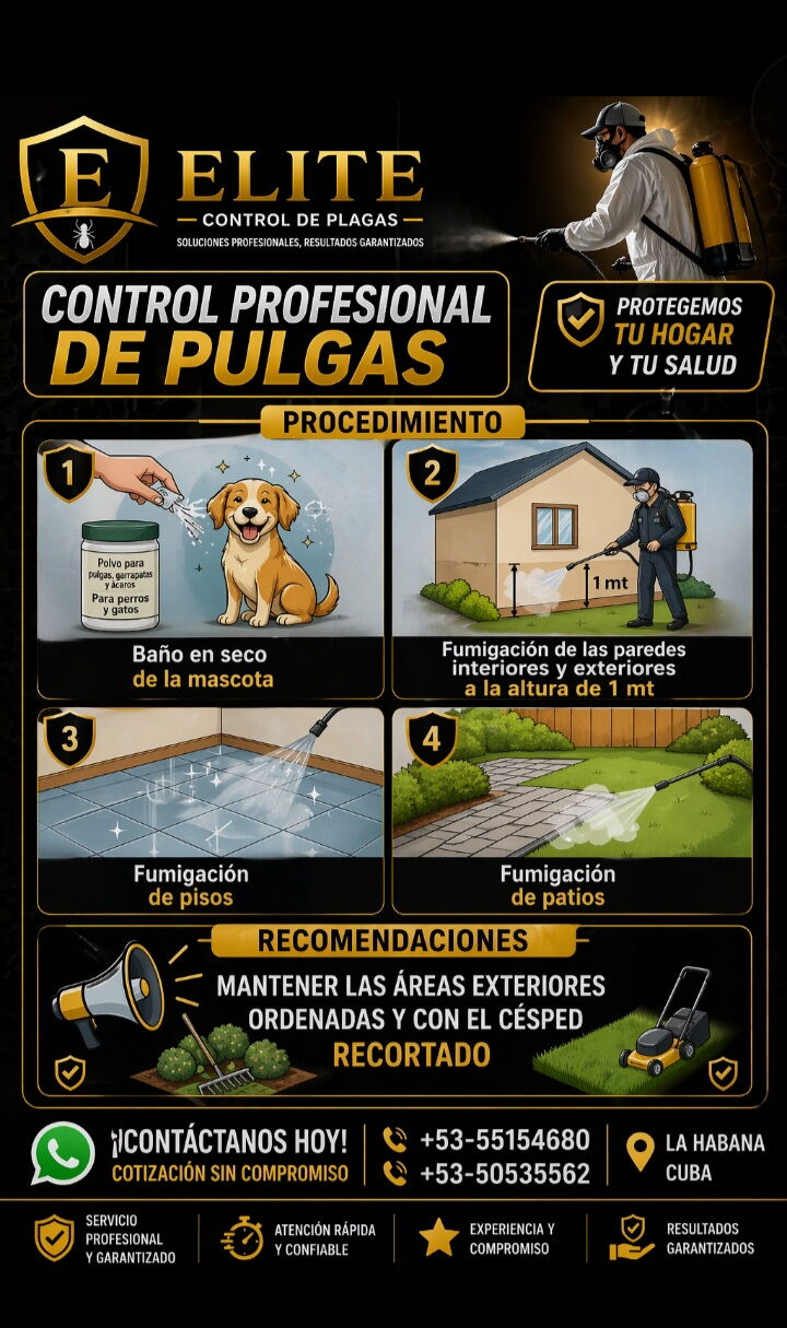 Trabajo 8