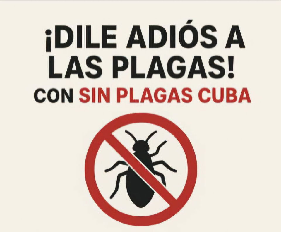 Portada de Fumigador profesional en La Habana - Control de plagas