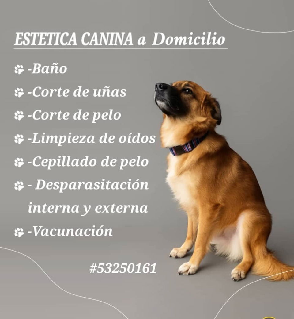 Portada de Veterinario y Peluquería a Domicilio