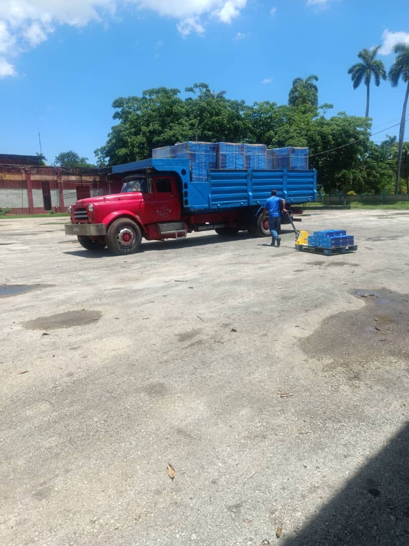 Portada de Mudanzas profesionales y seguras en La Habana