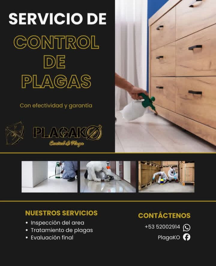 Portada de Fumigación y Control de Plagas – Servicio Completo y Seguro