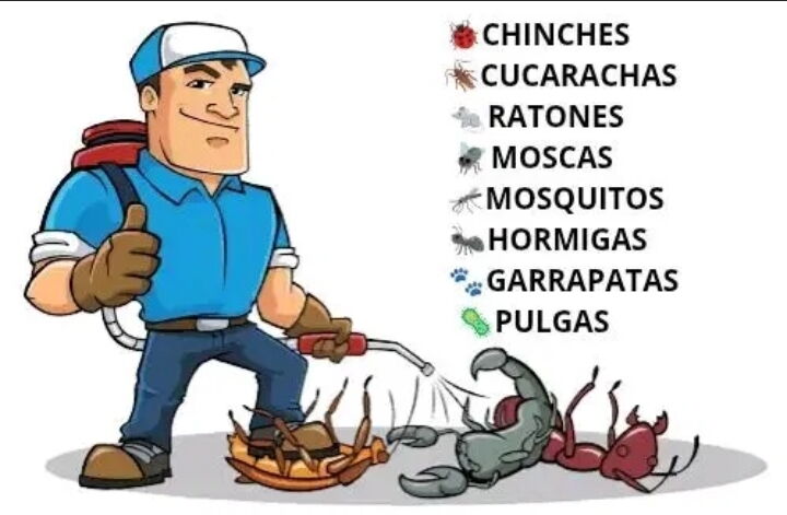 Portada de Fumigación profesional contra plagas en Centro Habana