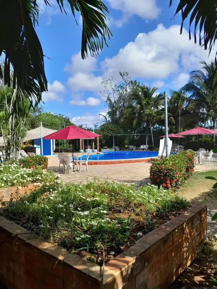 Trabajo 8