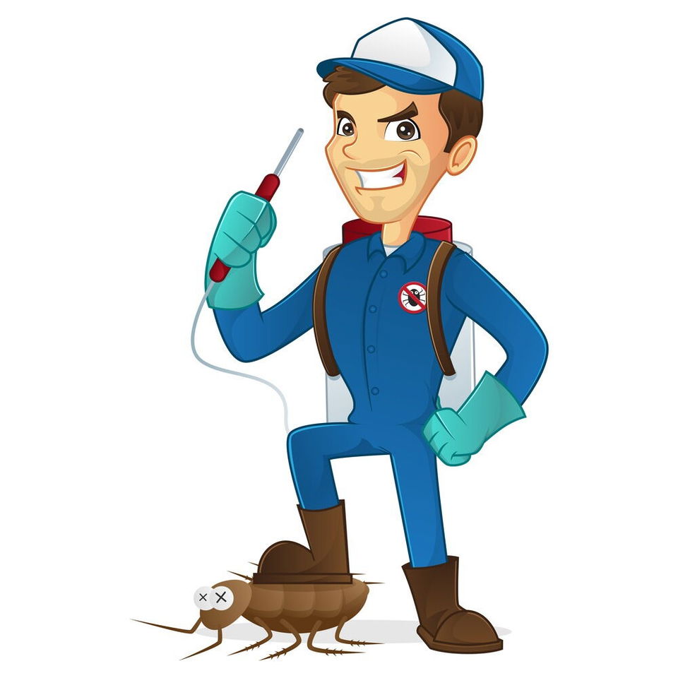 Portada de Fumigación profesional contra plagas en La Habana