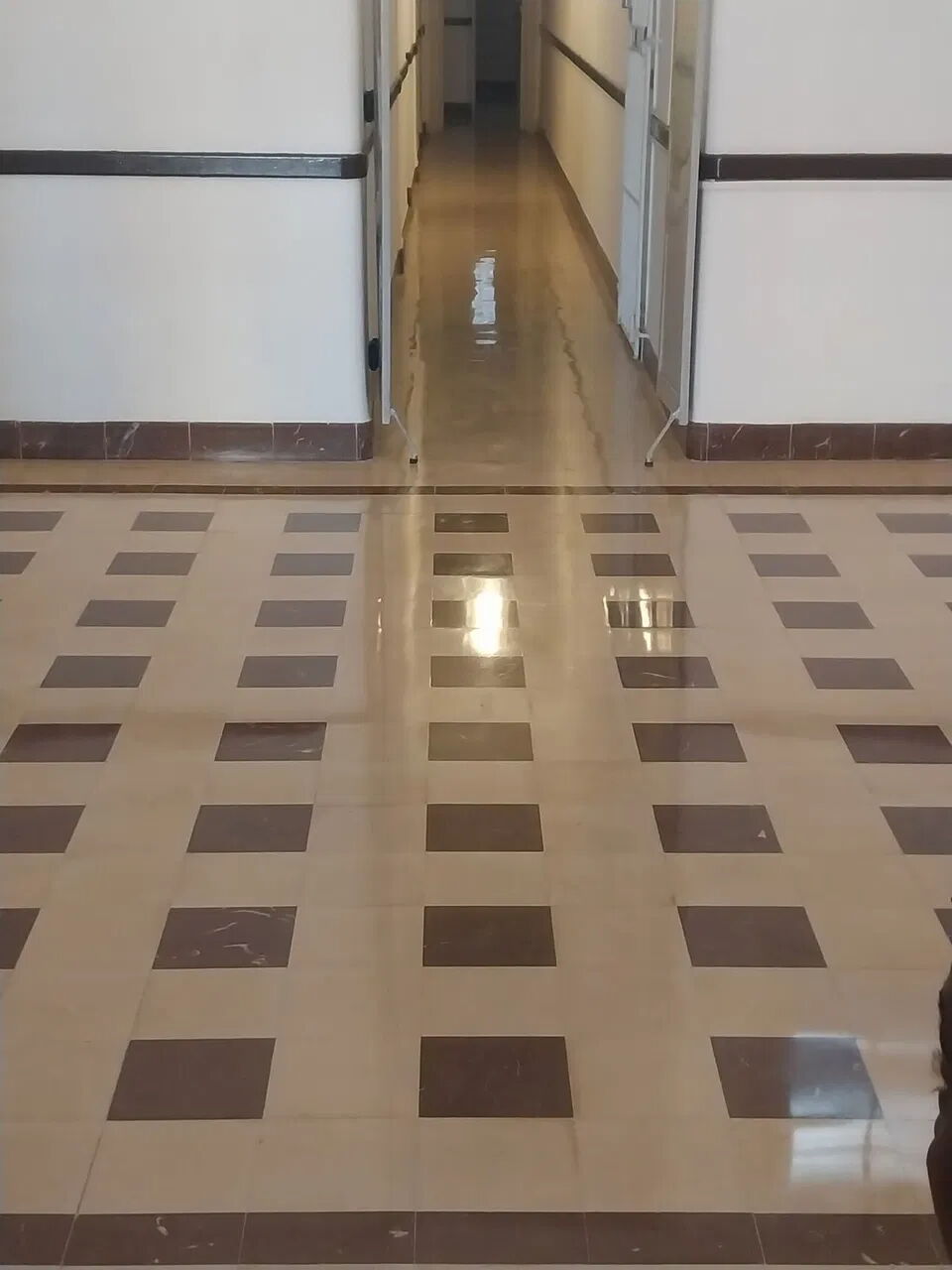 Trabajo 9