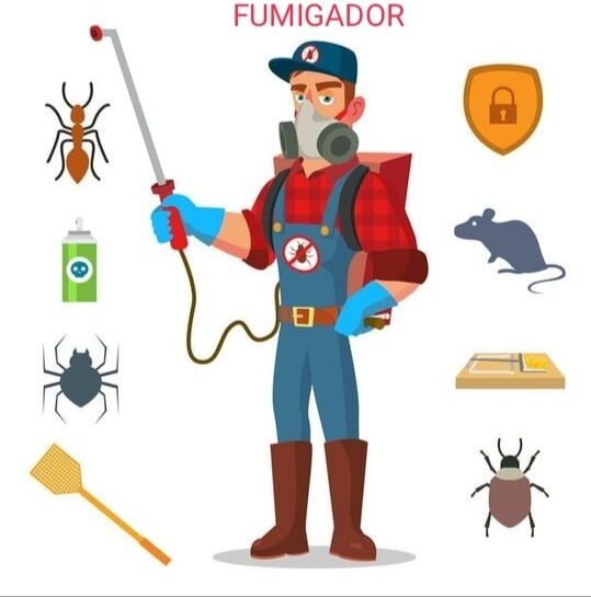 Portada de Fumigación profesional contra chinches, garrapatas, cucarachas y más