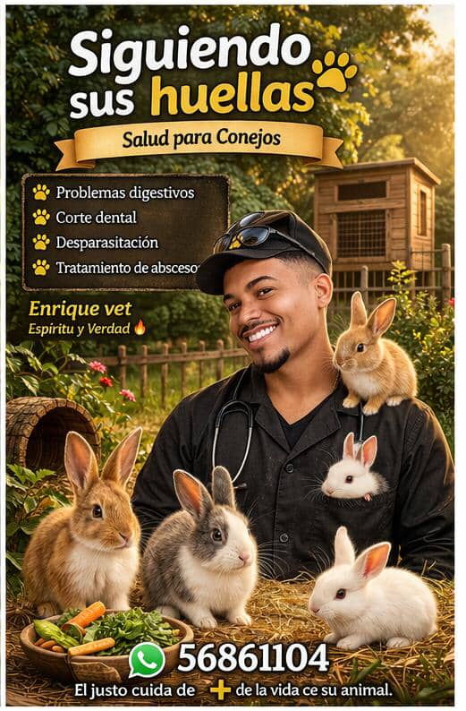 Portada de Veterinario a domicilio para conejos en La Habana