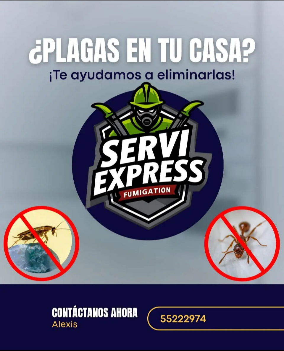Portada de Fumigación contra plagas en La Habana