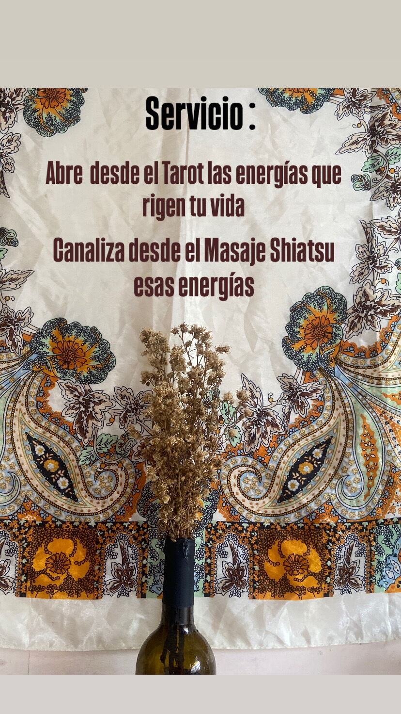 Portada de Clases de Masaje TaiSha: Niveles Básico, Intermedio y Avanzado