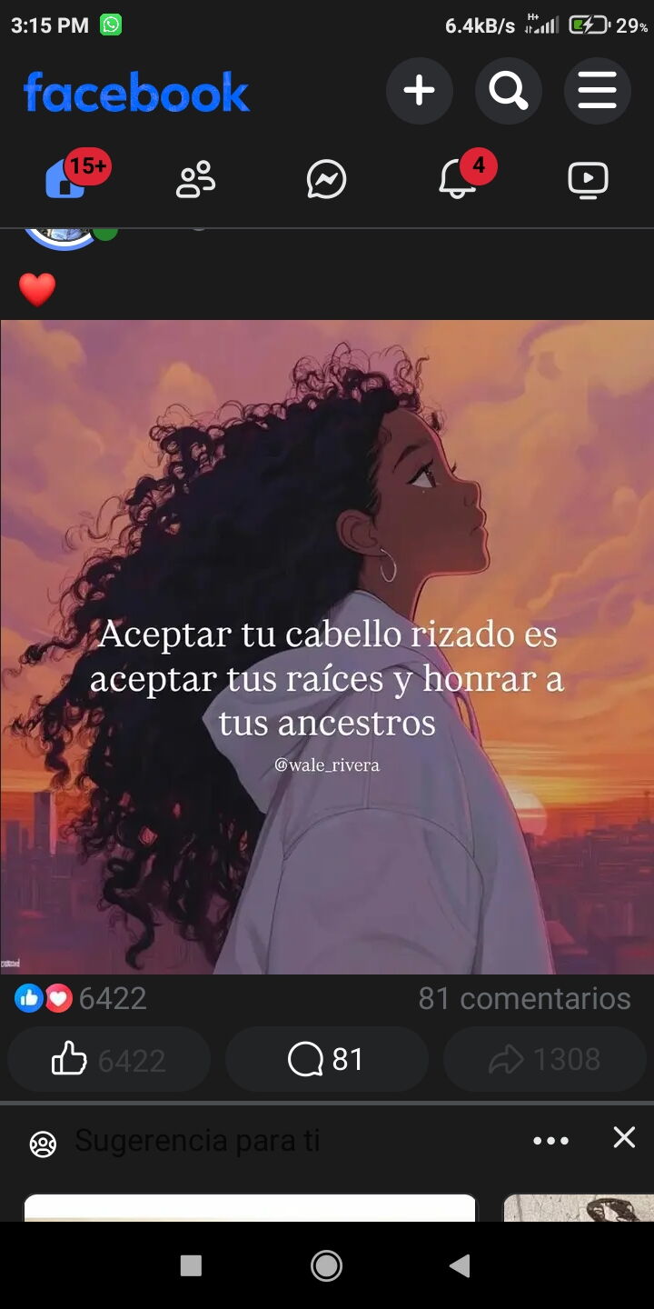 Portada de Cuidados del cabello rizado natural en Bauta