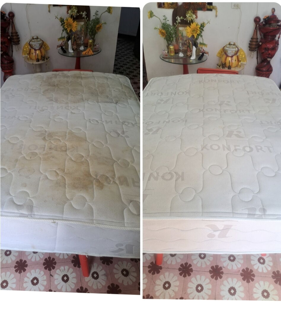 Portada de Limpieza de colchones a domicilio y más