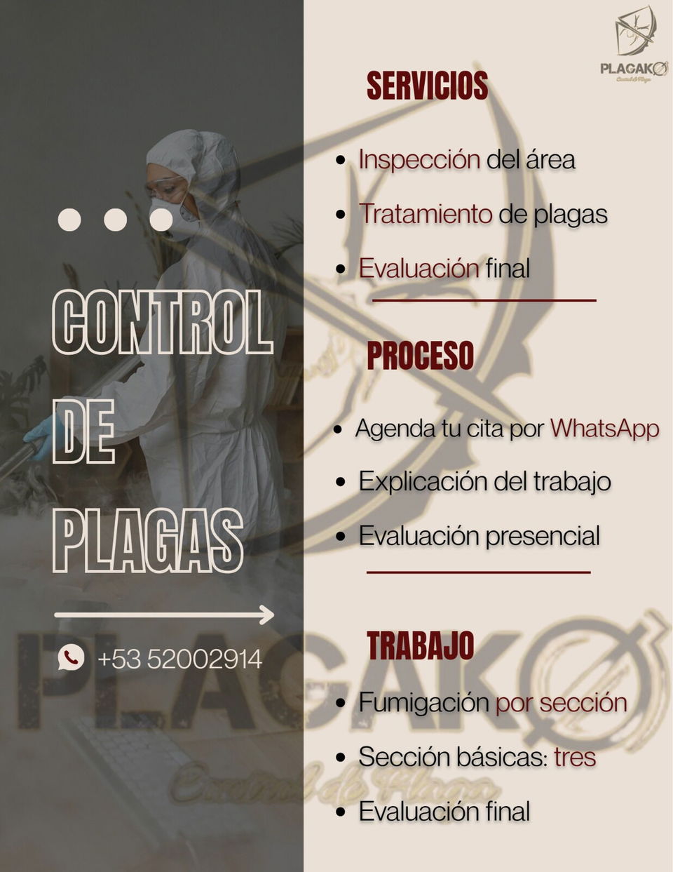 Portada de Fumigación profesional: eficacia y garantía en Marianao