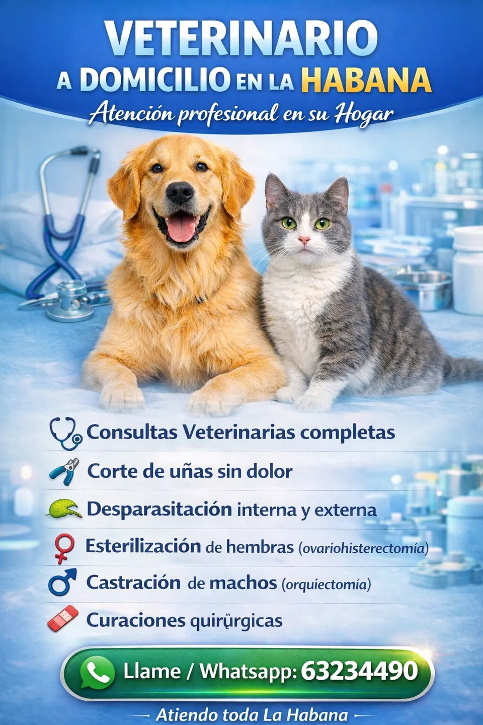 Portada de Veterinario a Domicilio en La Habana
