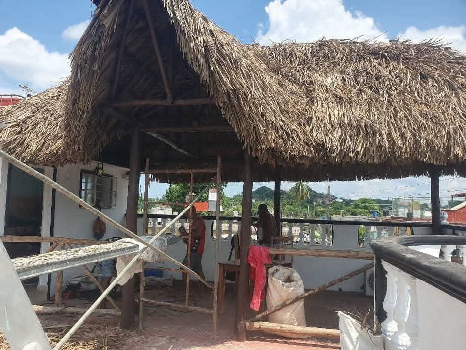 Portada de Ranchones de Guano para Patio o Negocio