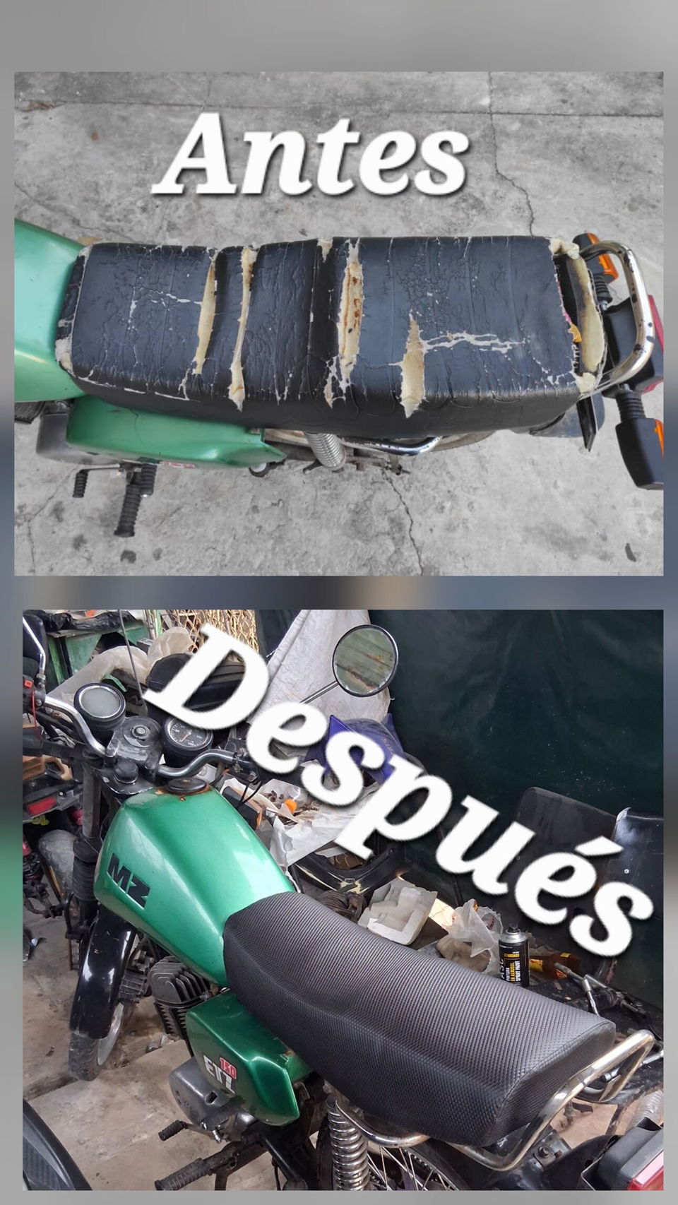Trabajo 5