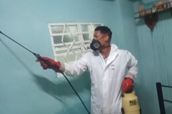 Portada de Fumigación en La Habana: Control Total de Plagas