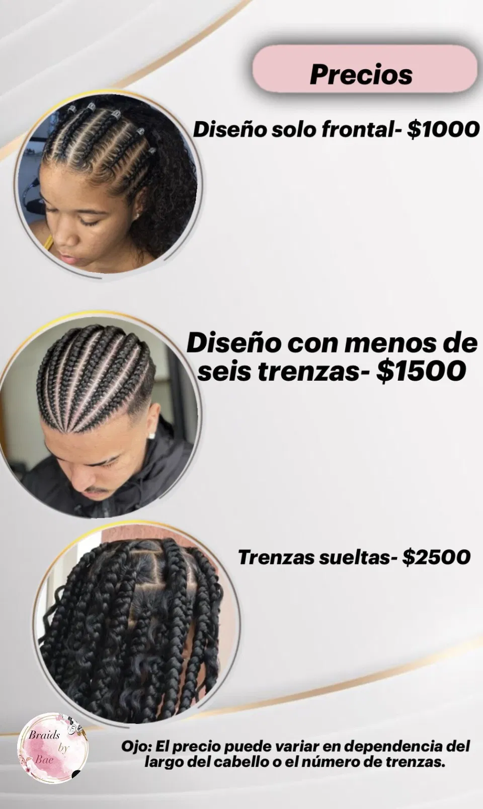 Portada de Trenzas profesionales para un look único