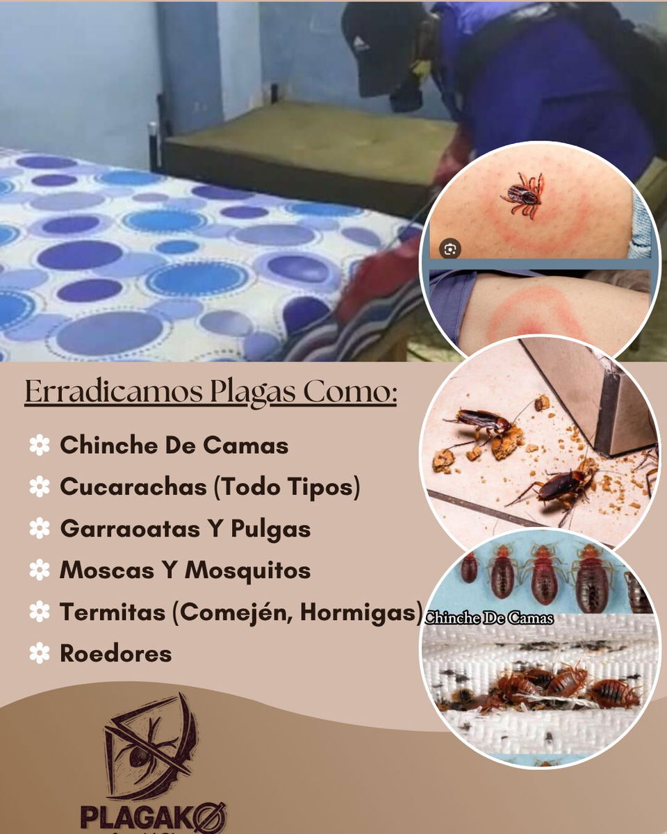 Portada de Fumigación profesional contra plagas urbanas
