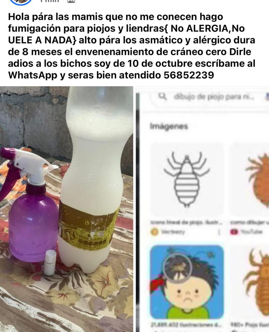 Portada de Fumigación contra piojos y liendras en Boyeros, La Habana