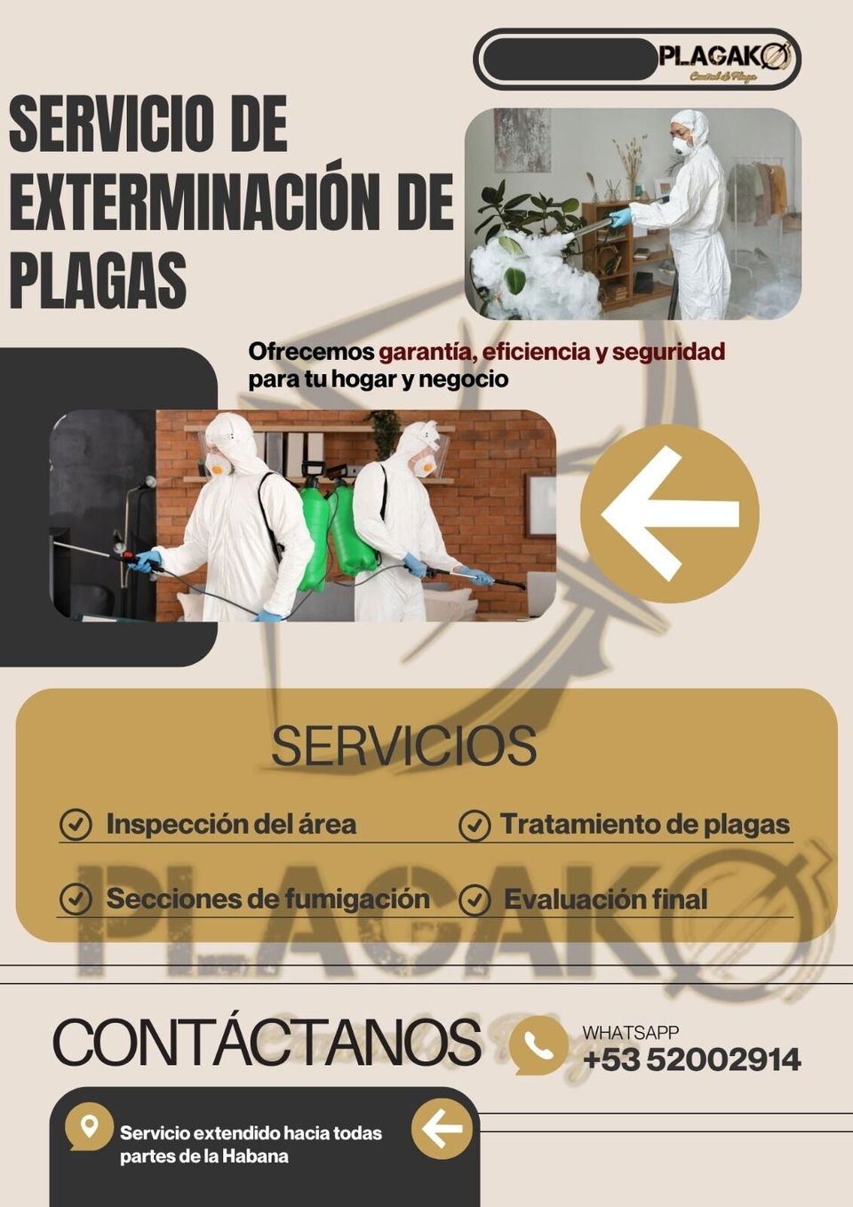 Portada de Fumigación contra Plagas de Insectos en La Habana