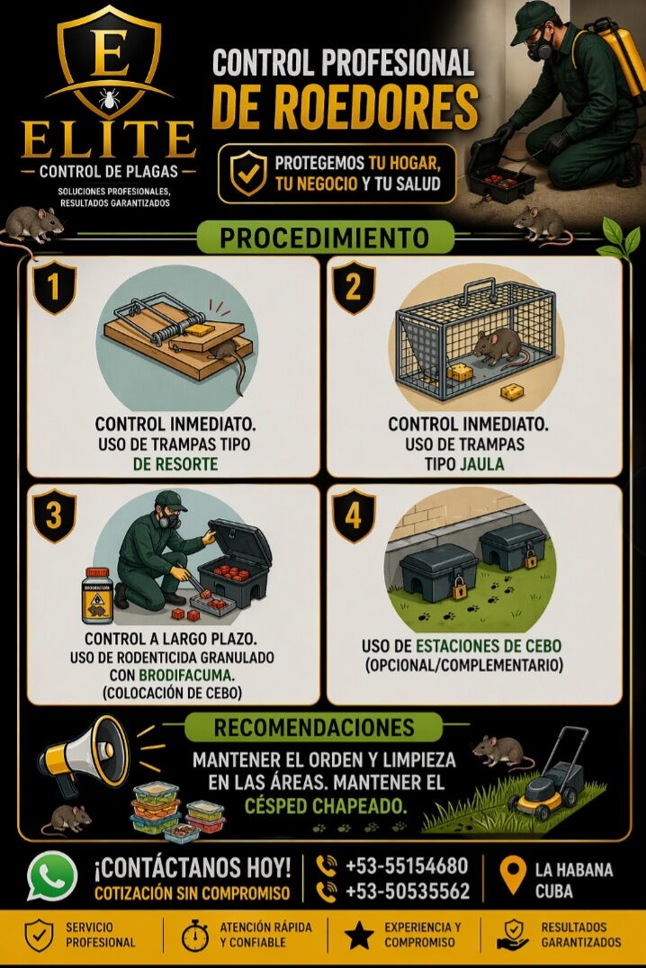 Trabajo 5