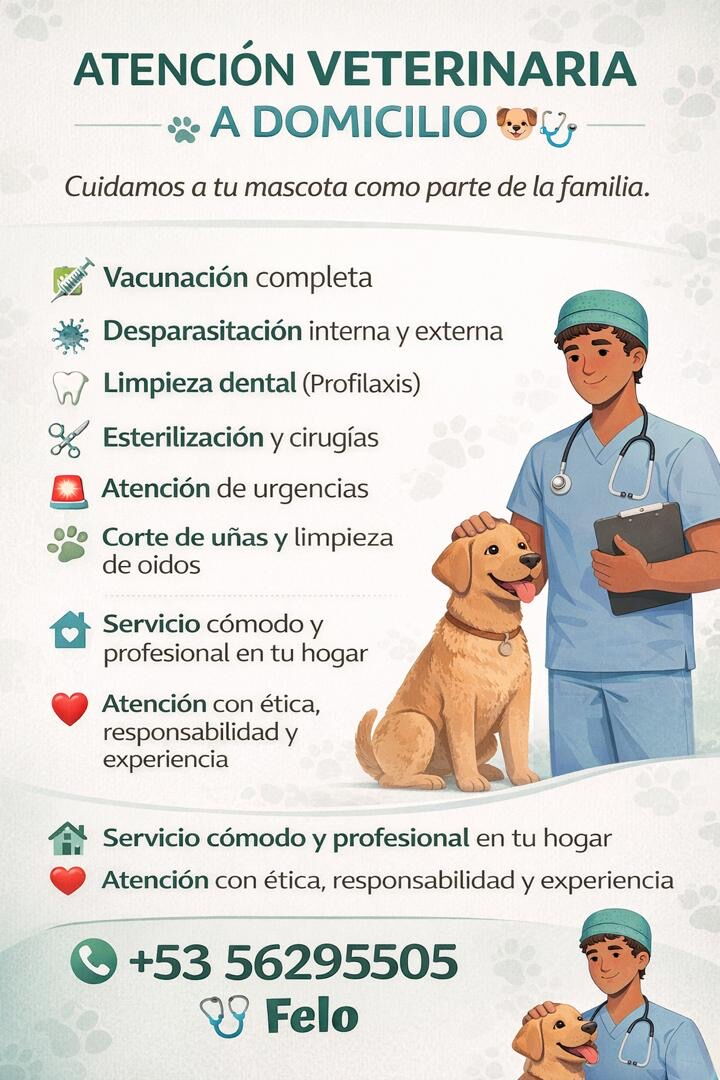Portada de Veterinario a domicilio en La Habana: desparasitación, vacunación y cirugías