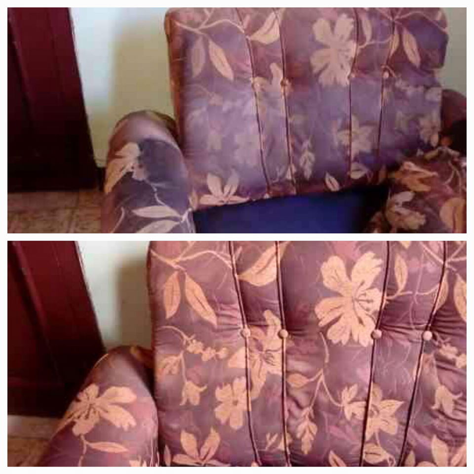 Portada de Limpieza profesional de muebles tapizados y más con vapor