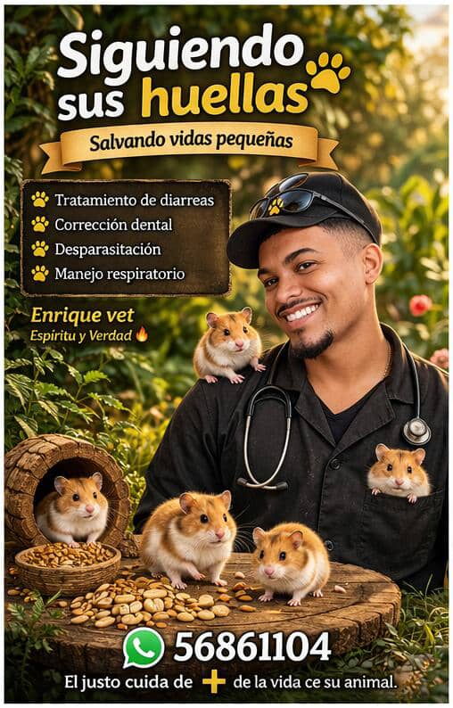 Portada de Veterinario de hámsters a domicilio en Centro Habana