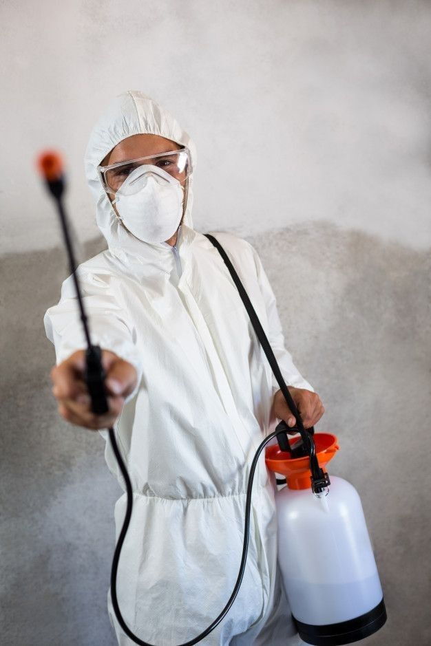 Portada de Fumigación profesional: chinches, cucarachas, mosquitos, roedores y más