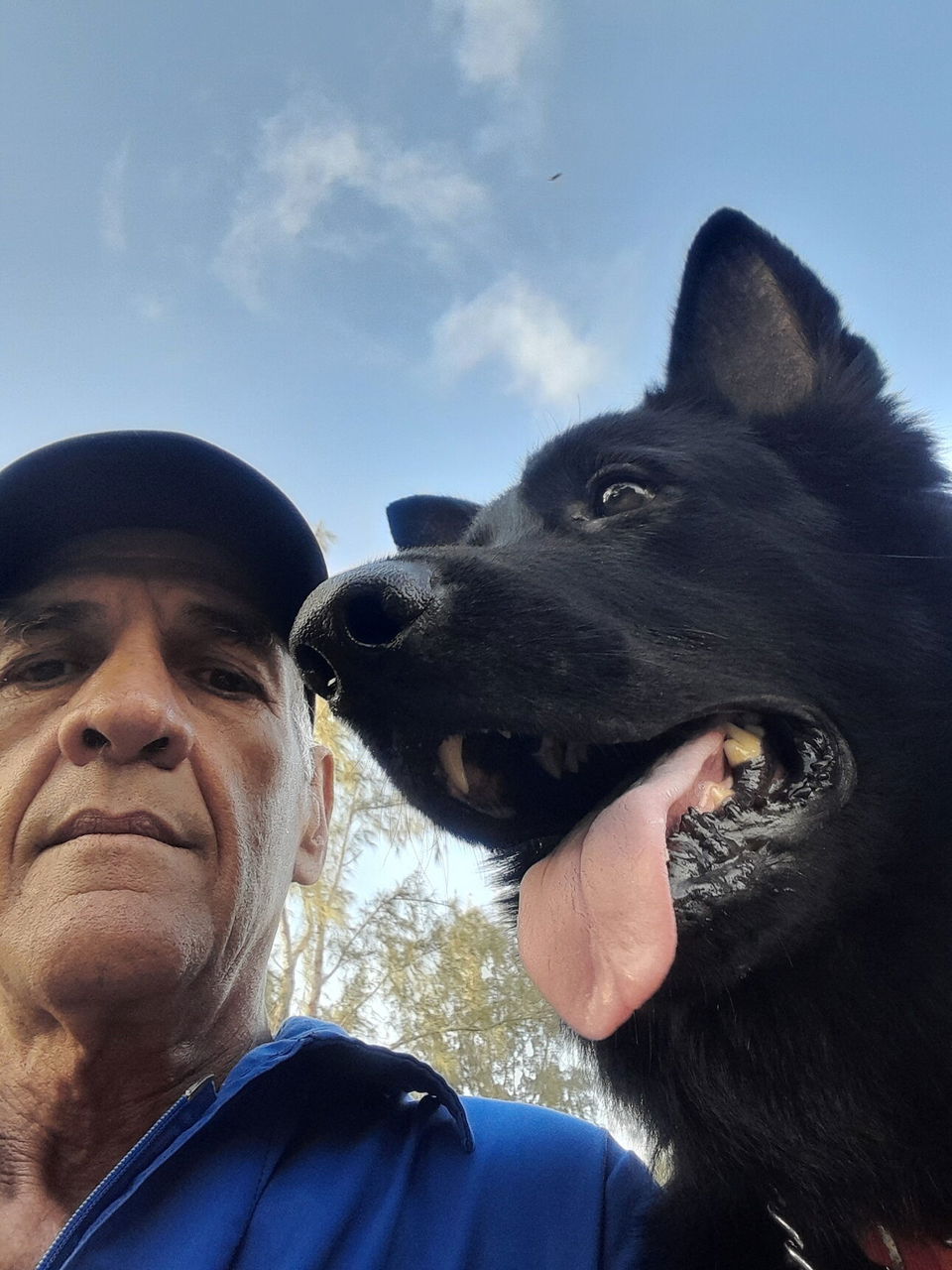 Portada de Adiestramiento canino: obediencia, custodia y entrenamiento especializado