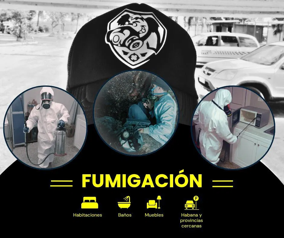 Trabajo 5