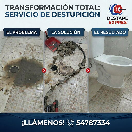 Trabajo 6