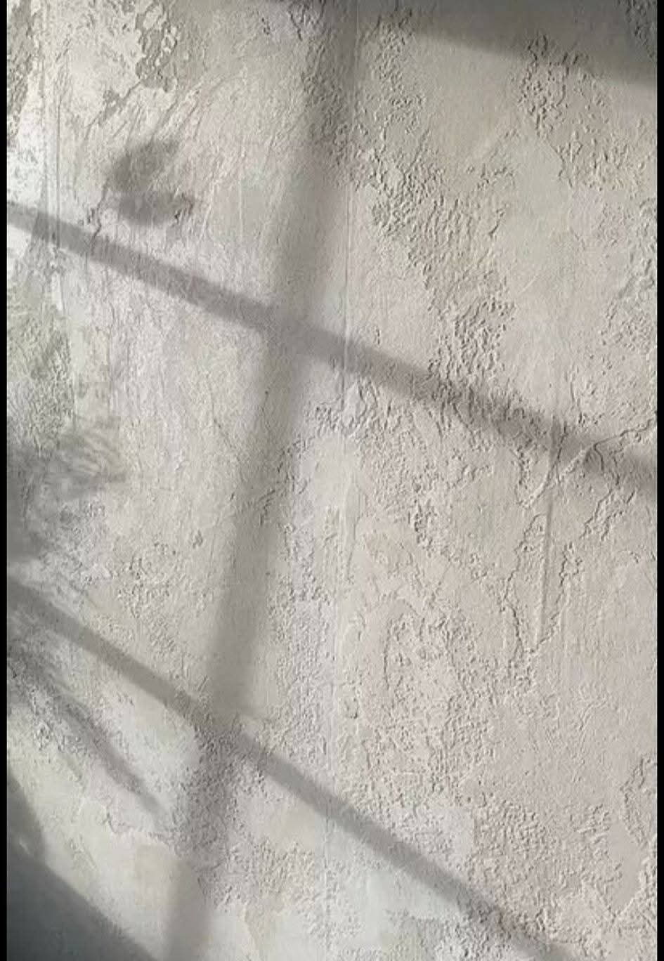 Trabajo 6