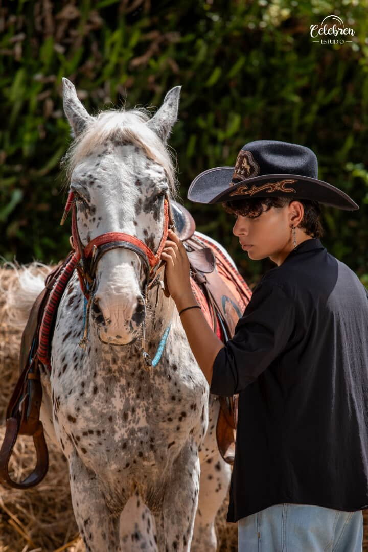 Portada de Sesiones de fotografía para quinceañeros con caballos