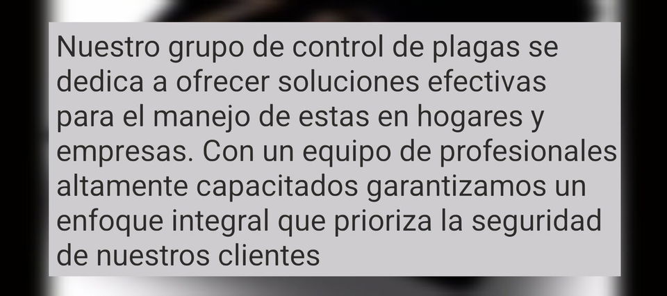 Portada de Servicio de fumigación y exterminio de plagas
